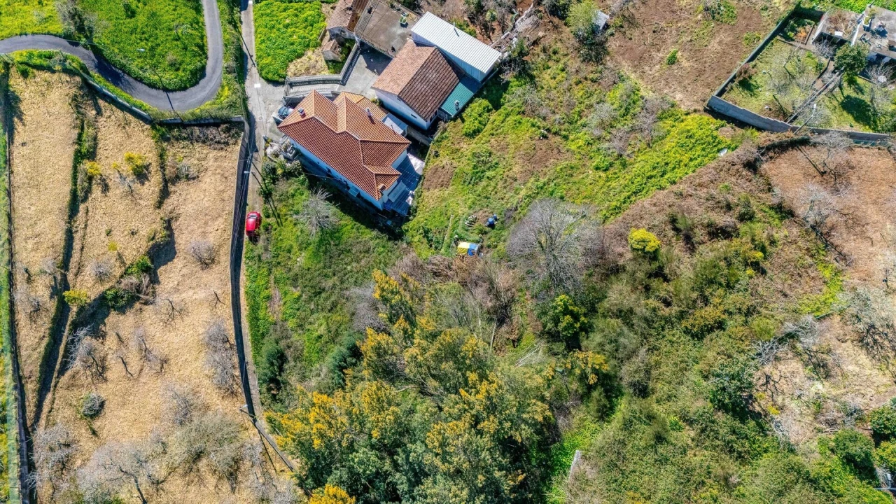 Terreno para Venda em Camacha Foto 11