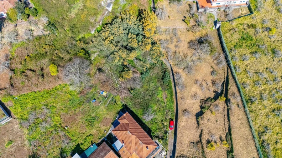 Terreno para Venda em Camacha Foto 9