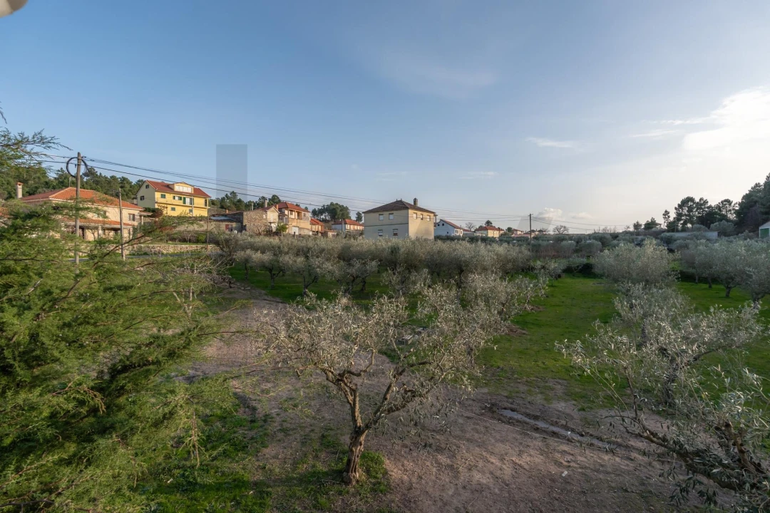 Moradia T3 para Venda em Candoso e Carvalho de Egas Foto 44