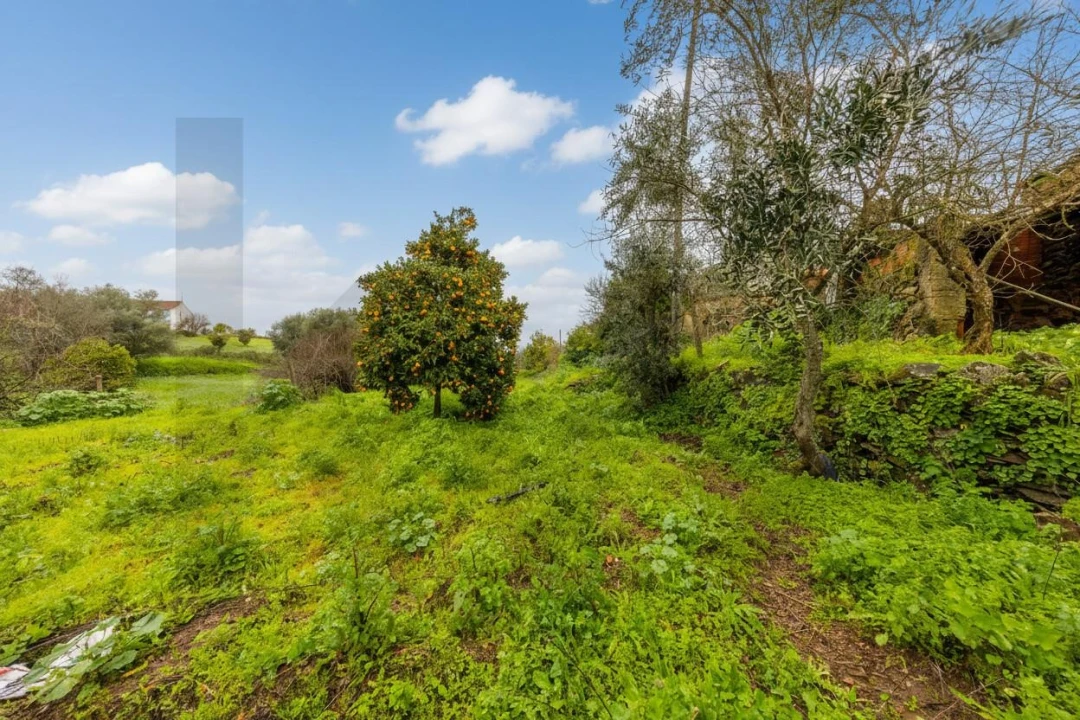 Moradia T5 para Venda em Gavião e Atalaia Foto 18