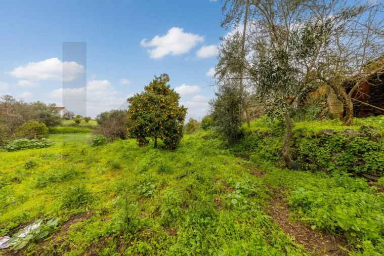 Moradia T5 para Venda em Gavião e Atalaia Foto 18