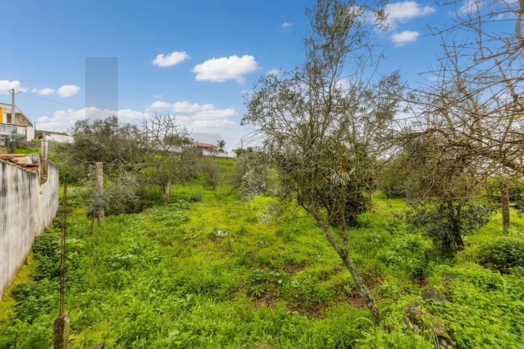 Moradia T5 para Venda em Gavião e Atalaia Foto 17