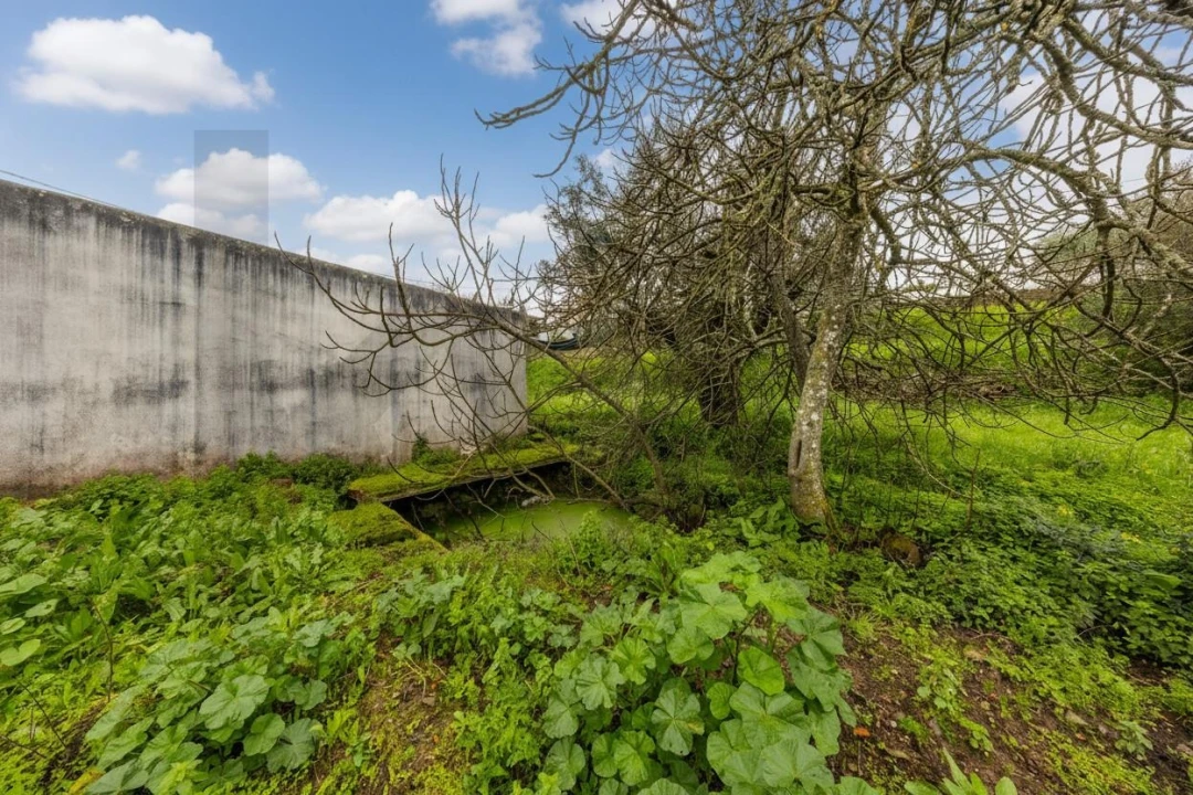 Moradia T5 para Venda em Gavião e Atalaia Foto 19