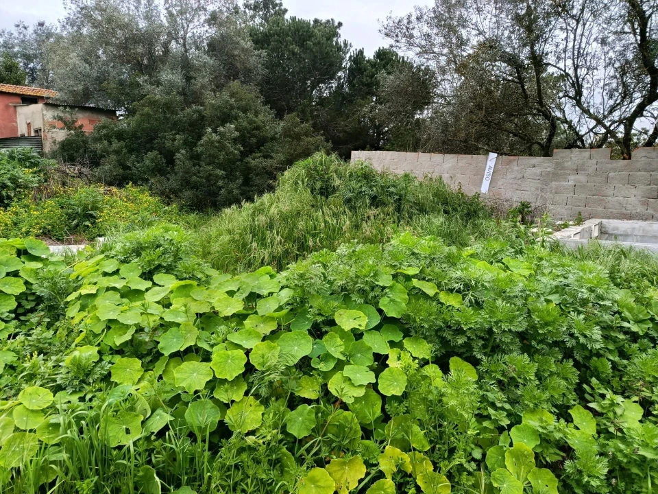 Terreno para Venda em Charneca de Caparica e Sobreda Foto 1
