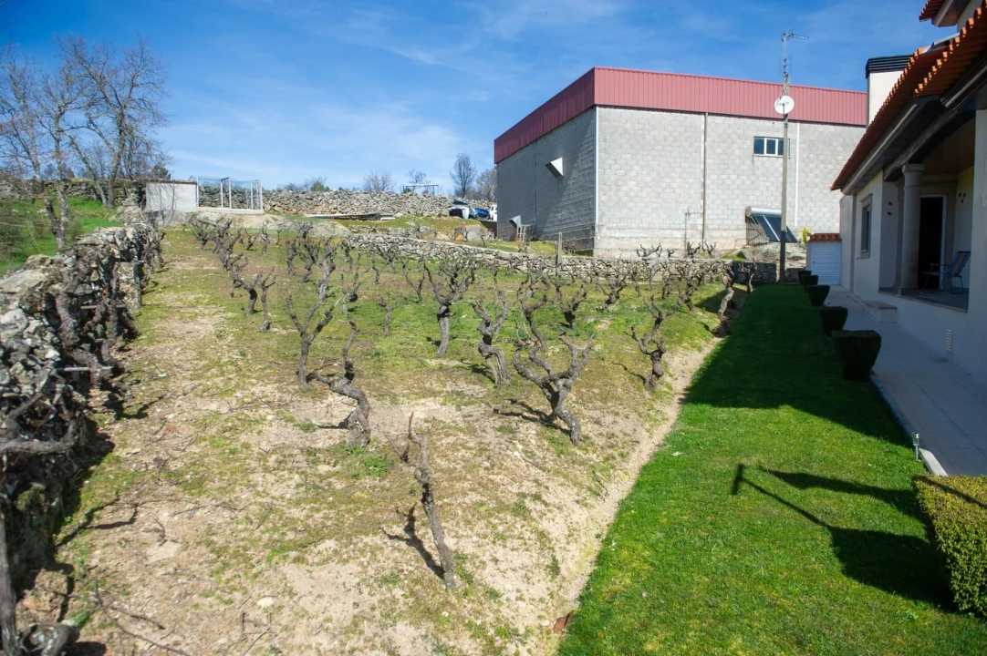 Moradia T4 para Venda em Rapoula do Coa Foto 40