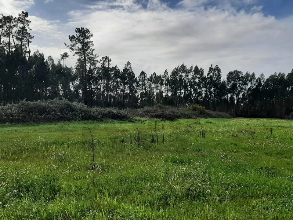 Terreno para Venda em Ouca Foto 1