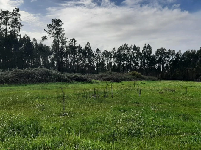 Terreno para Venda em Ouca