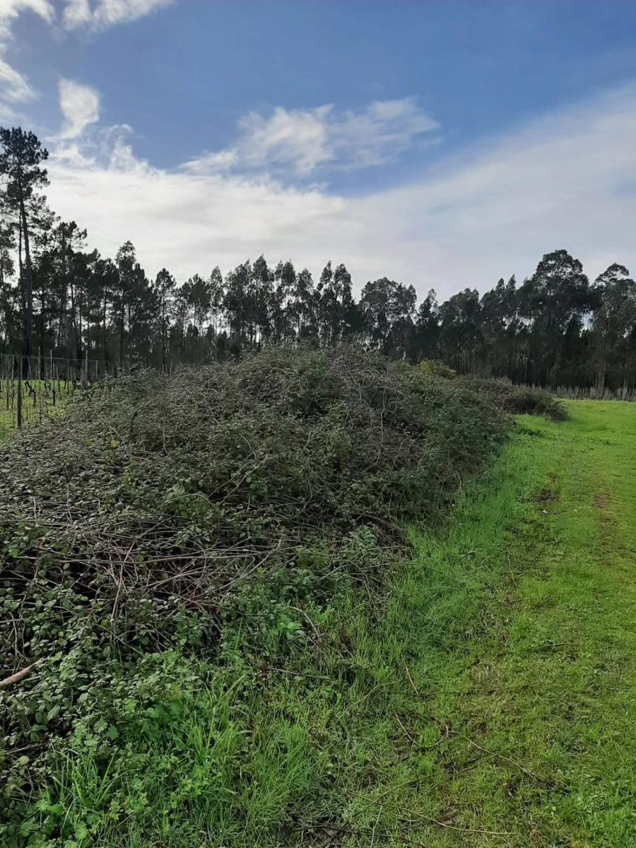 Terreno para Venda em Ouca Foto 2