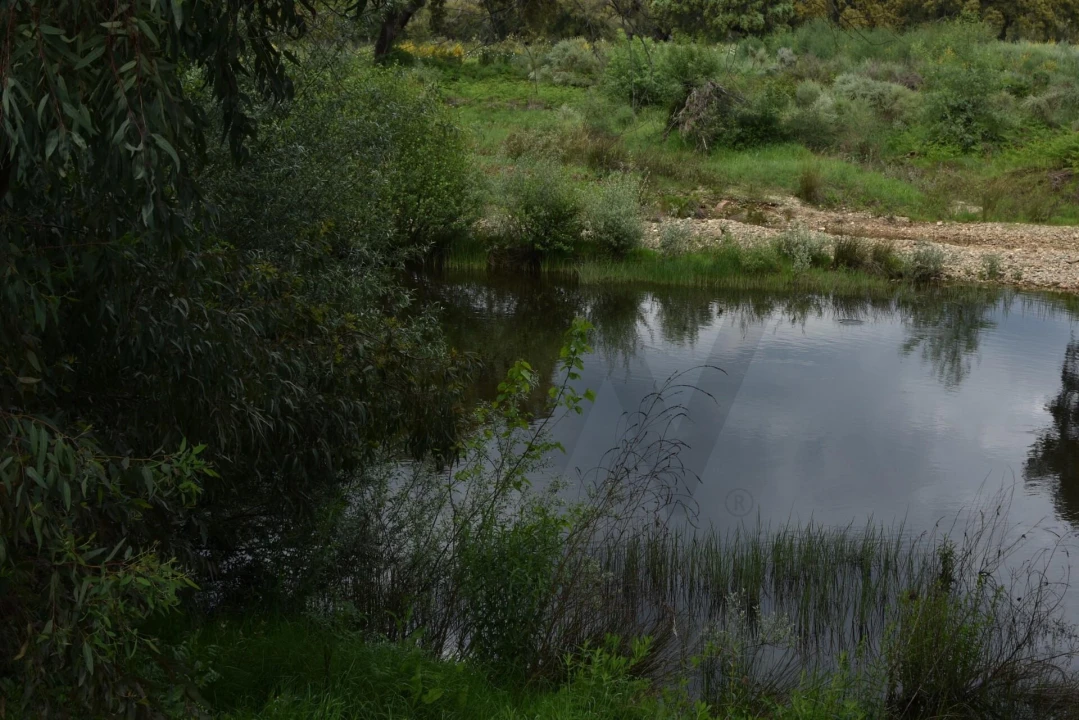 Moradia T18 para Venda em Monfortinho e Salvaterra do Extremo Foto 65