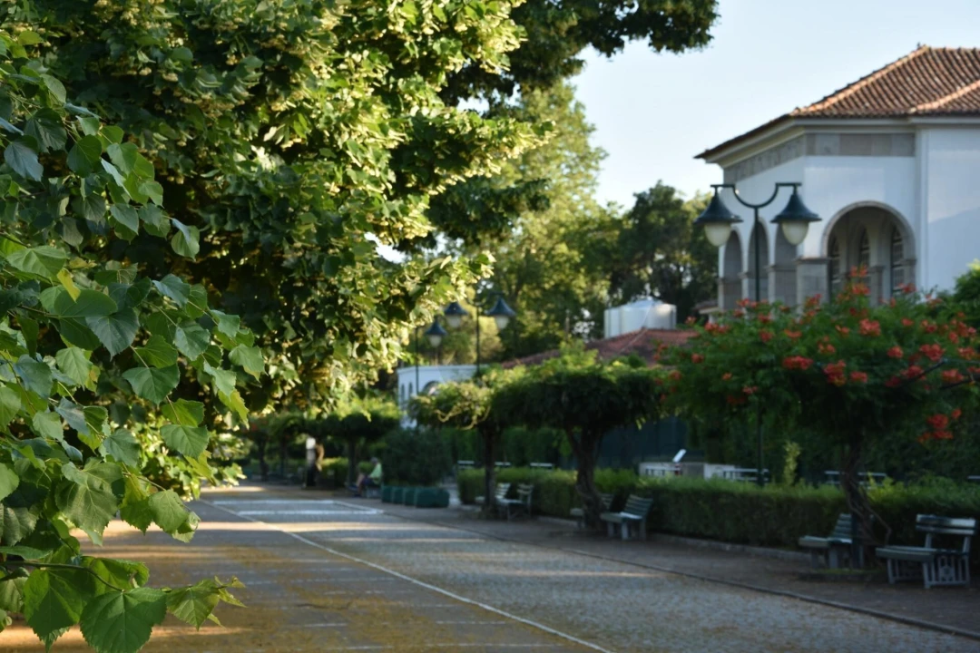 Moradia T18 para Venda em Monfortinho e Salvaterra do Extremo Foto 46