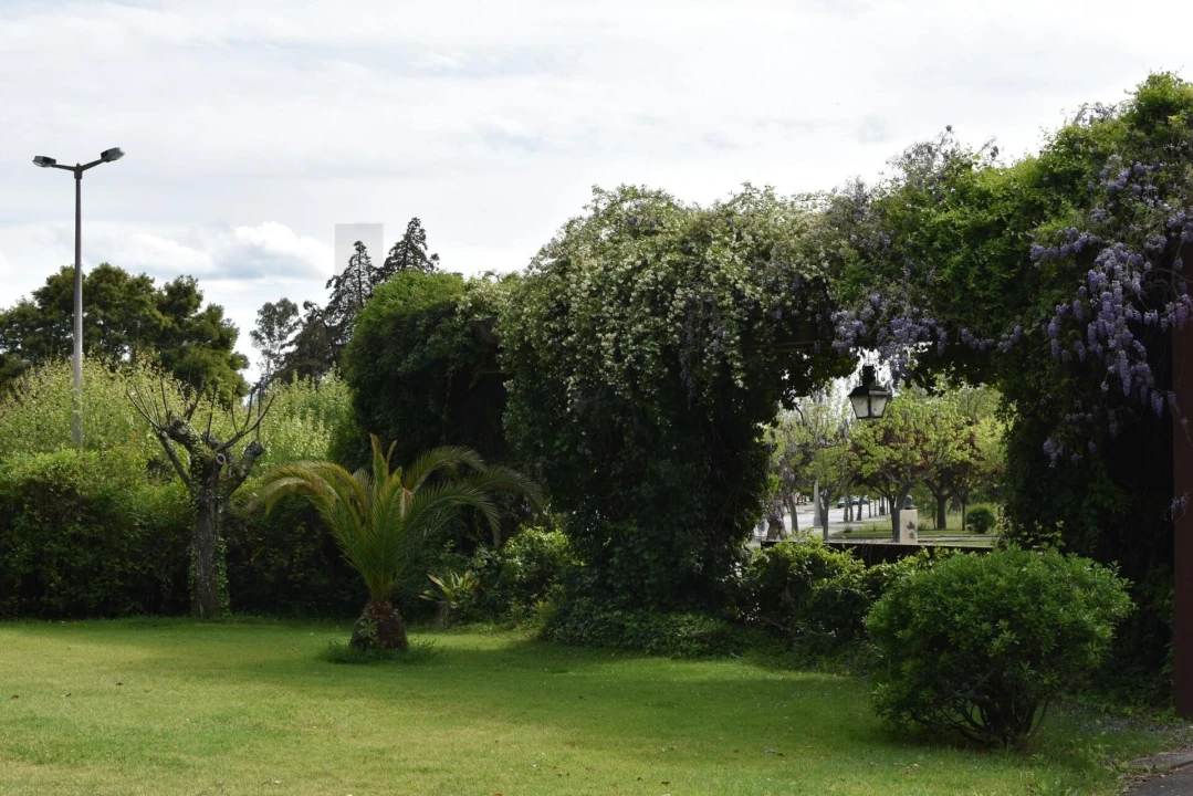 Moradia T18 para Venda em Monfortinho e Salvaterra do Extremo Foto 53