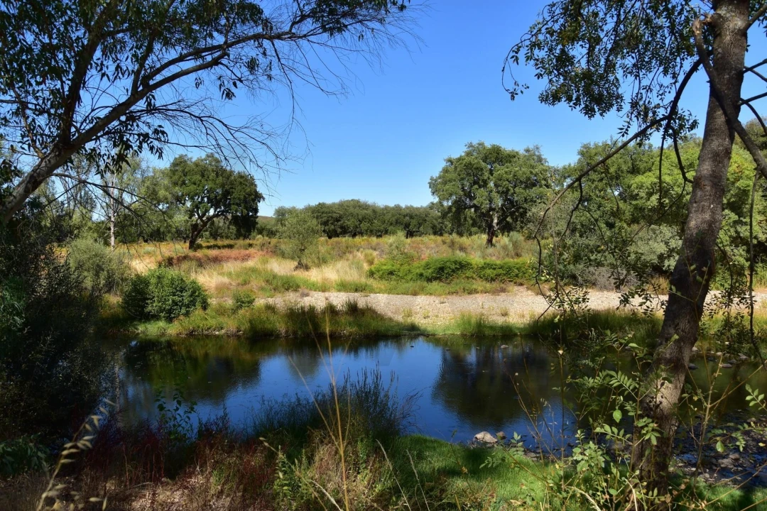 Moradia T18 para Venda em Monfortinho e Salvaterra do Extremo Foto 50
