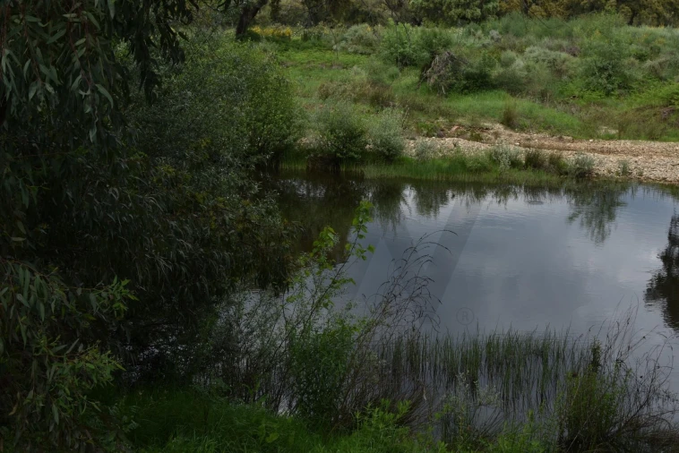 Moradia T18 para Venda em Monfortinho e Salvaterra do Extremo Foto 65