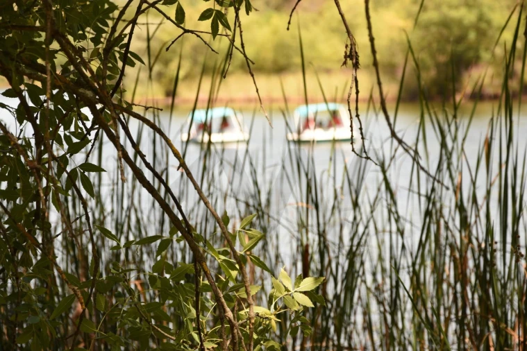 Moradia T18 para Venda em Monfortinho e Salvaterra do Extremo Foto 69