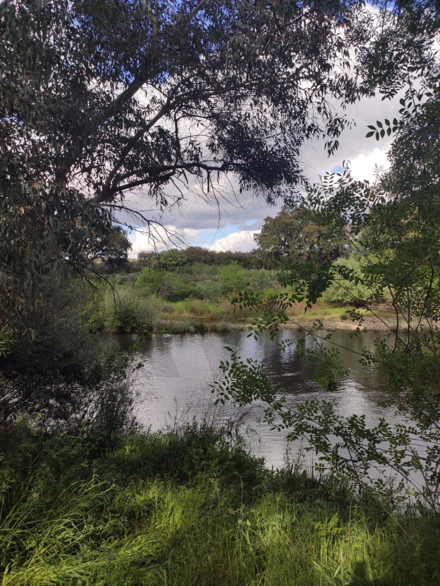 Moradia T18 para Venda em Monfortinho e Salvaterra do Extremo Foto 72