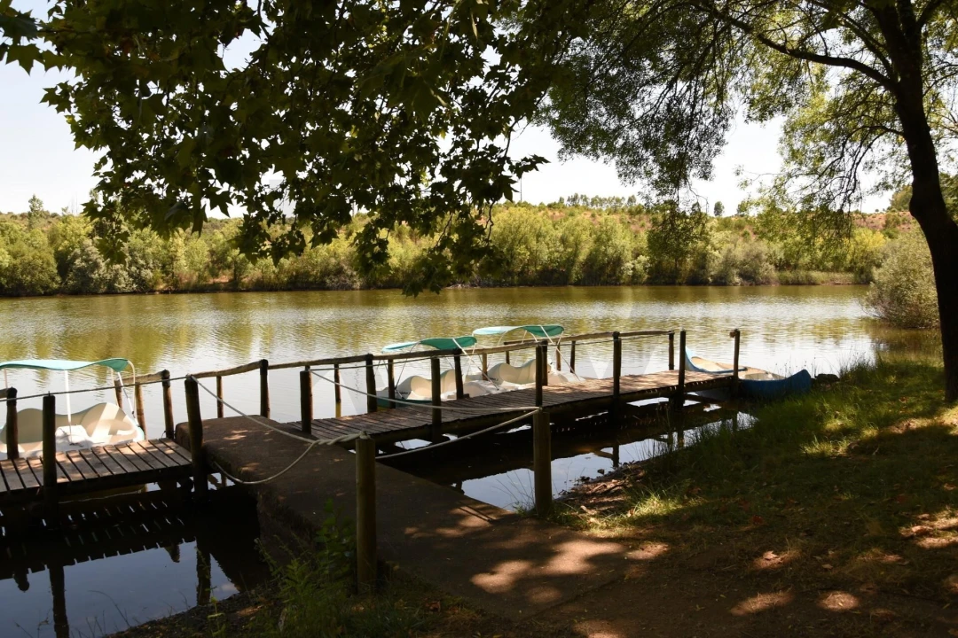 Moradia T18 para Venda em Monfortinho e Salvaterra do Extremo Foto 67