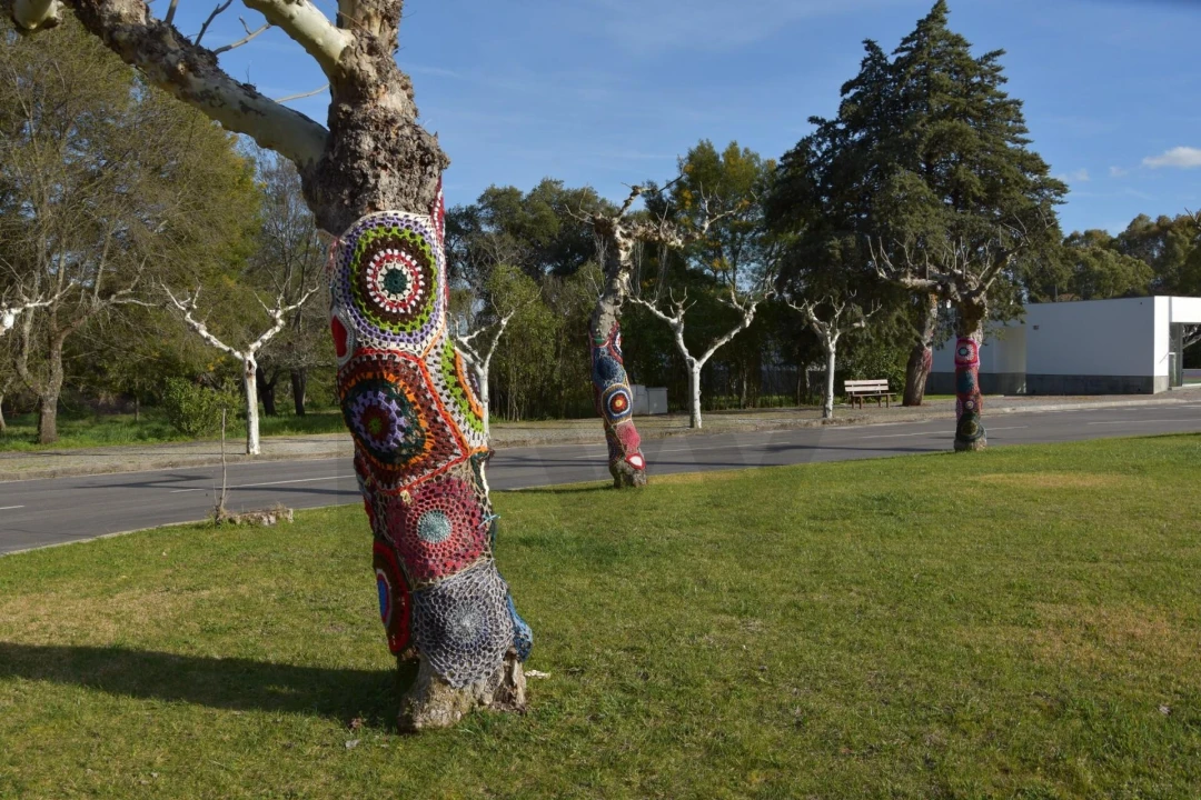 Moradia T18 para Venda em Monfortinho e Salvaterra do Extremo Foto 58