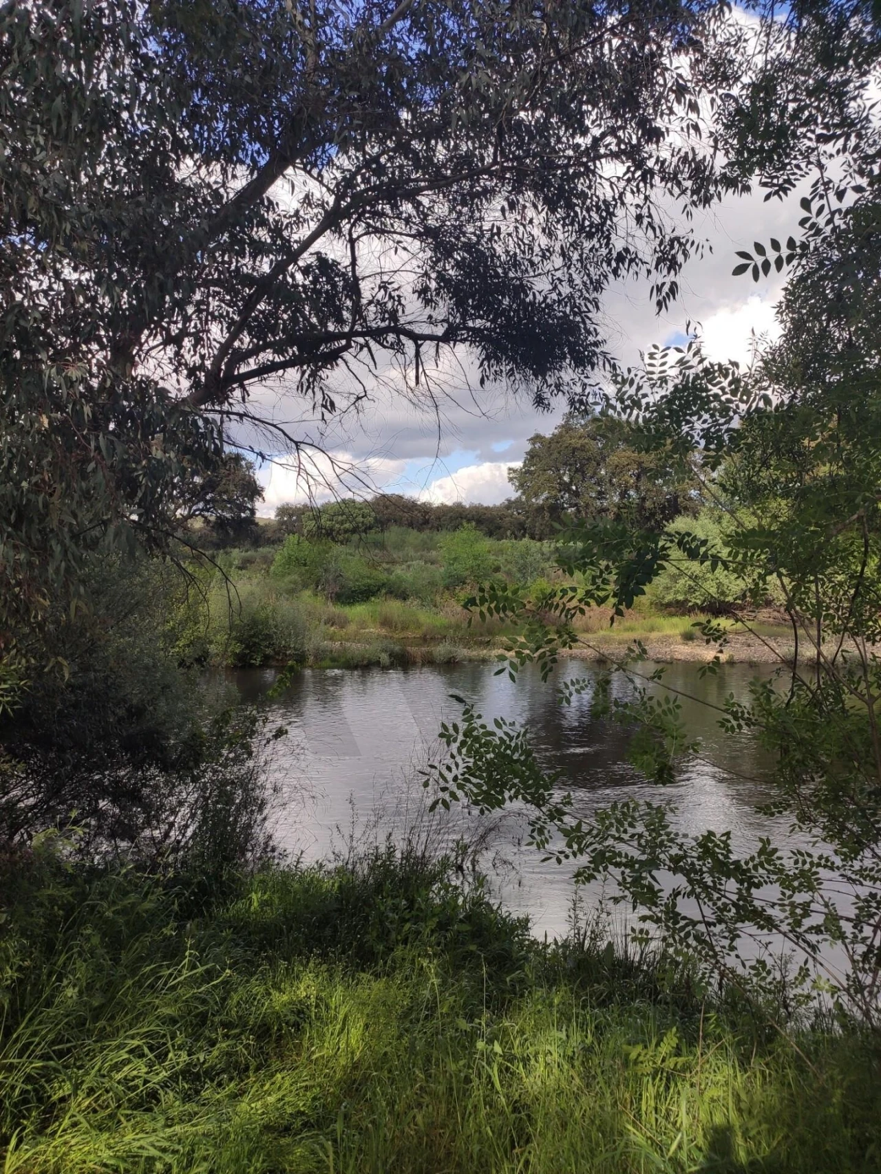 Moradia T18 para Venda em Monfortinho e Salvaterra do Extremo Foto 72