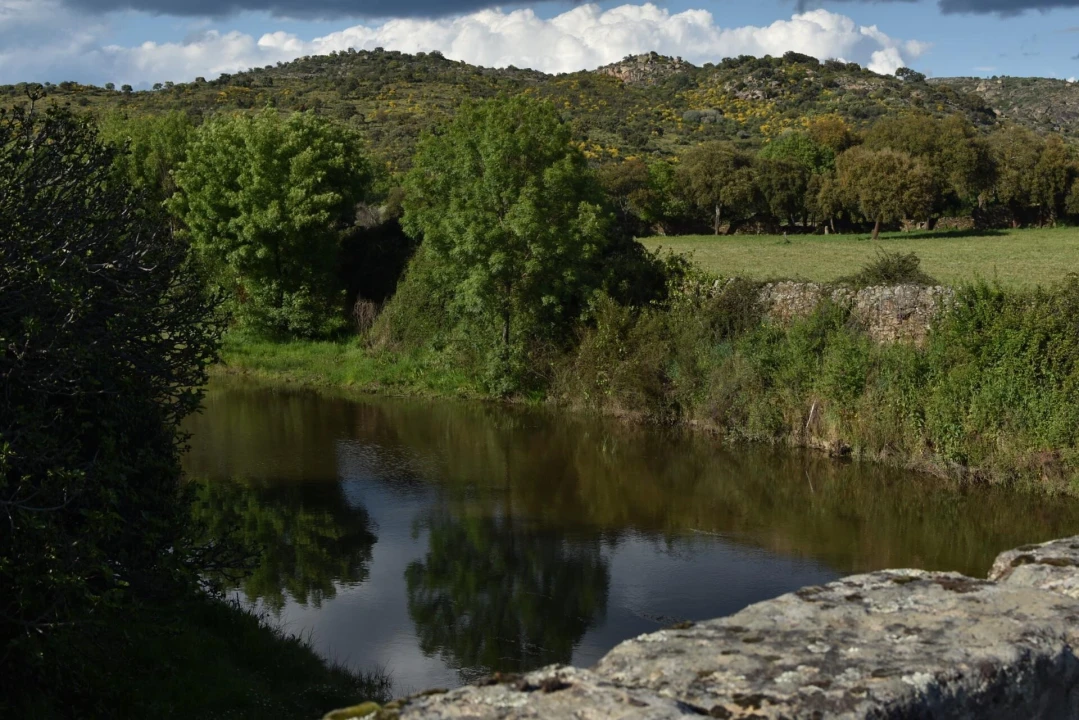 Moradia T18 para Venda em Monfortinho e Salvaterra do Extremo Foto 66