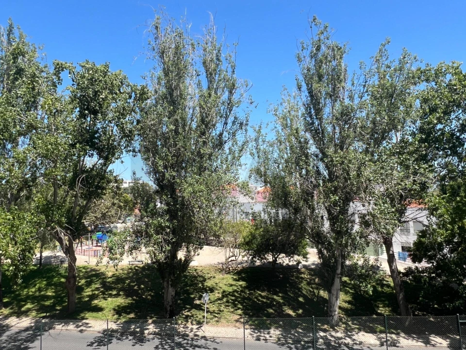 Apartamento T4 para Arrendamento em Moscavide e Portela Foto 1