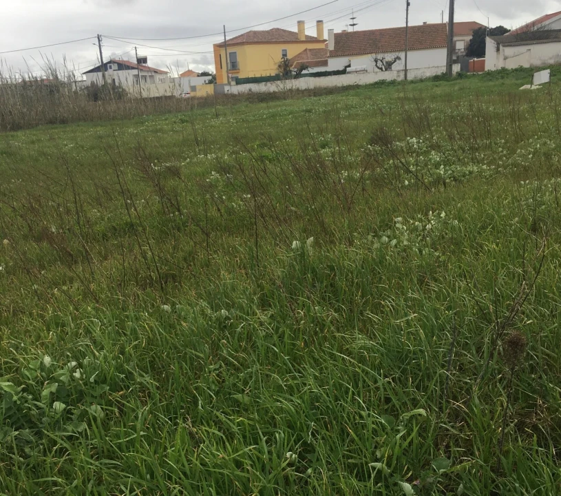 Terreno para Venda em Silveira Foto 8