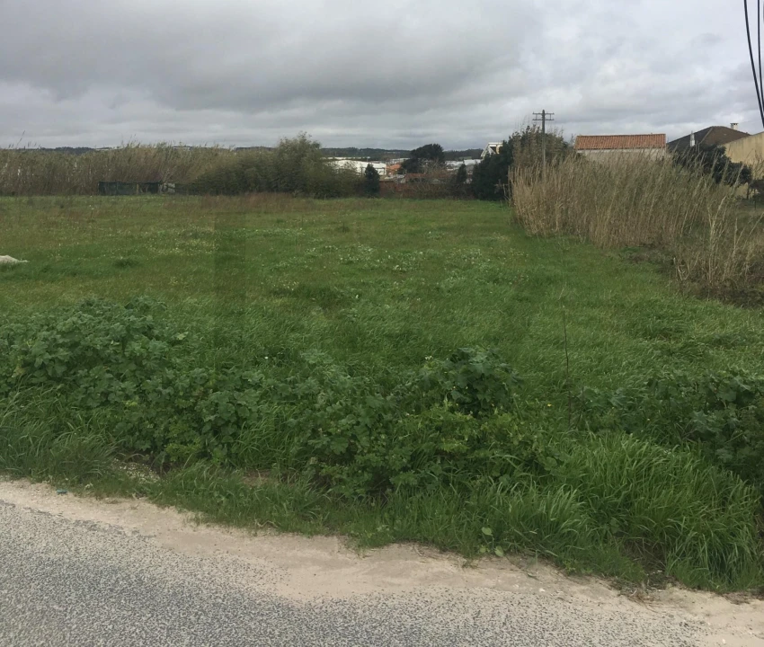 Terreno para Venda em Silveira Foto 4