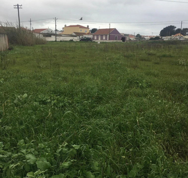 Terreno para Venda em Silveira Foto 5