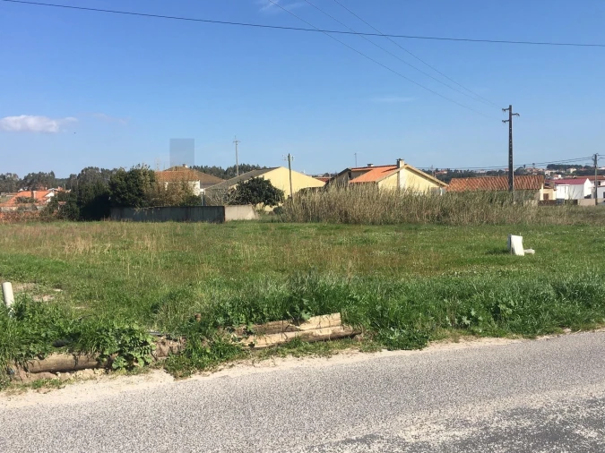 Terreno para Venda em Silveira Foto 12