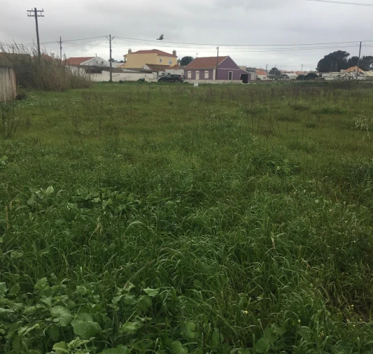 Terreno para Venda em Silveira Foto 5