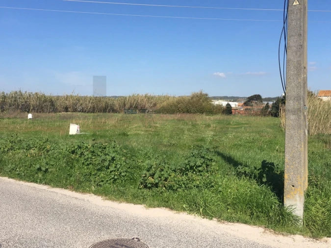 Terreno para Venda em Silveira Foto 3