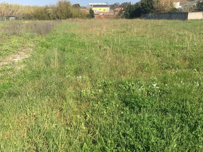 Terreno para Venda em Silveira Foto 9