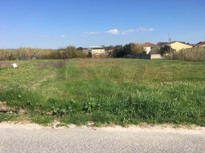 Terreno para Venda em Silveira