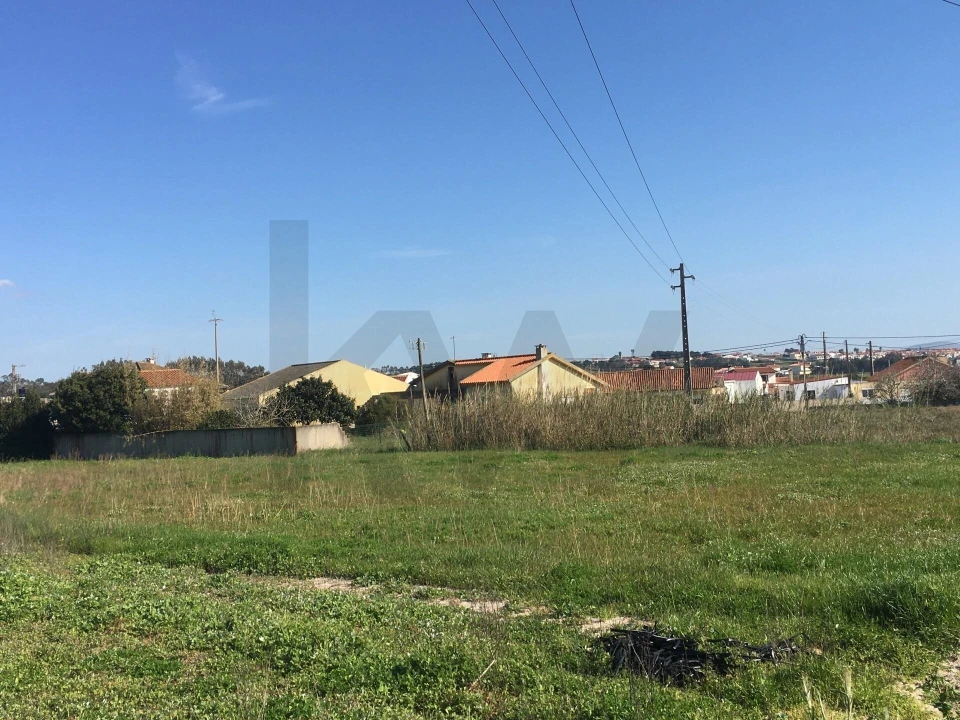 Terreno para Venda em Silveira Foto 11