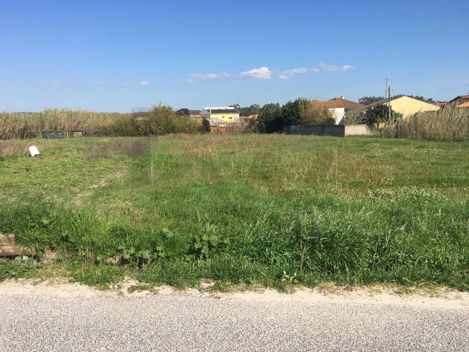 Terreno para Venda em Silveira Foto 1