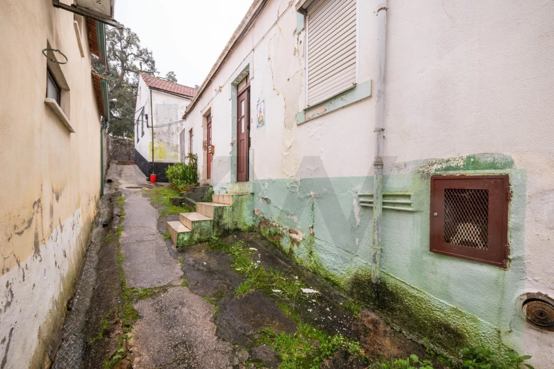 Moradia T3 para Venda em Eiras e São Paulo de Frades Foto 1