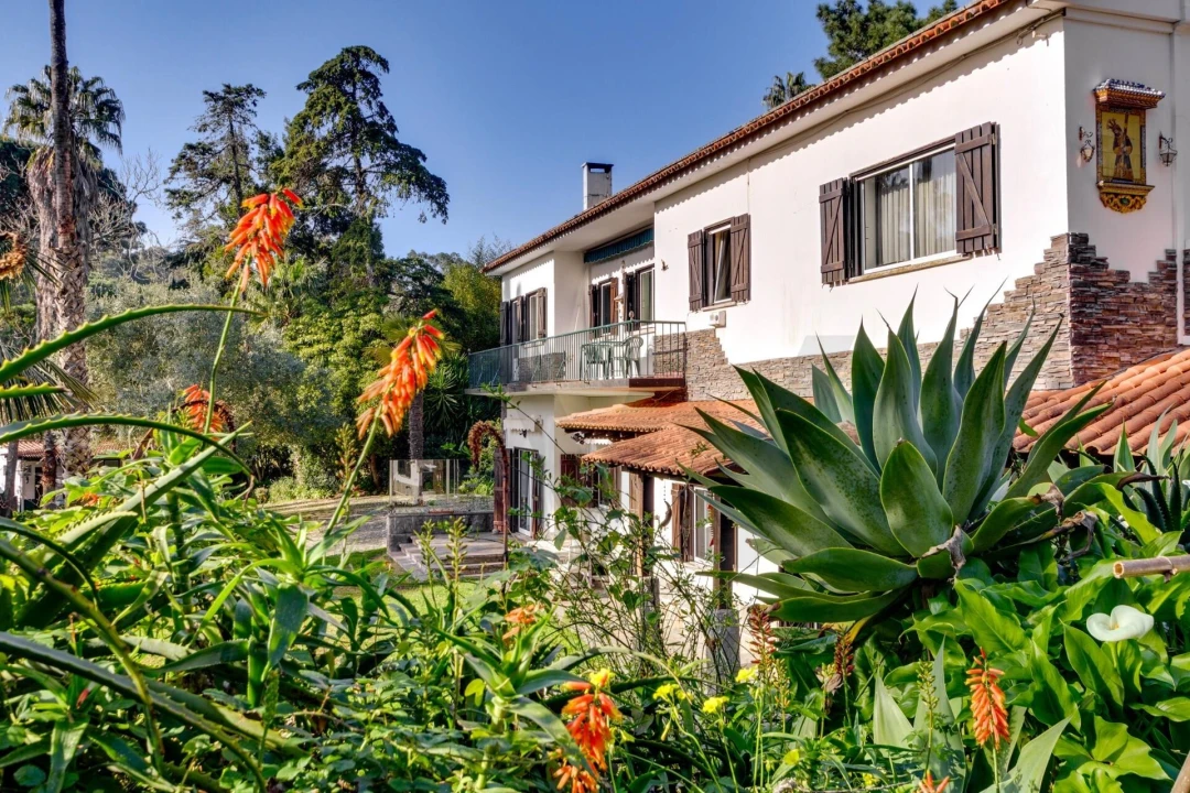 Quinta T10 para Venda em Cascais e Estoril Foto 40