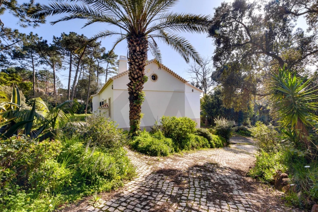 Quinta T10 para Venda em Cascais e Estoril Foto 35