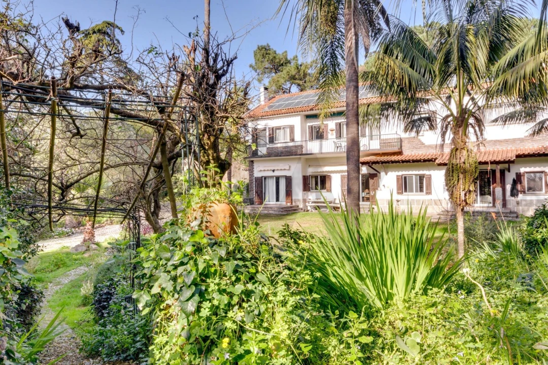 Quinta T10 para Venda em Cascais e Estoril Foto 41