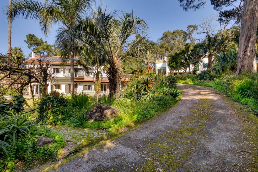 Quinta T10 para Venda em Cascais e Estoril Foto 39