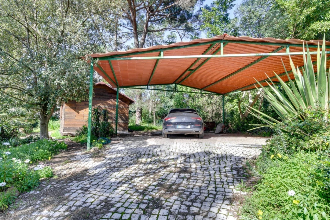 Quinta T10 para Venda em Cascais e Estoril Foto 36