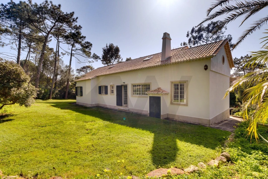 Quinta T10 para Venda em Cascais e Estoril Foto 34