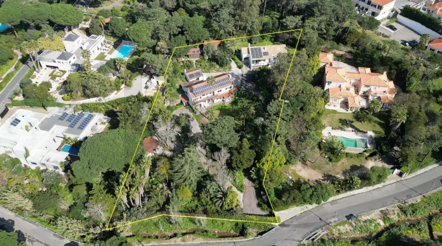 Quinta T10 para Venda em Cascais e Estoril Foto 88