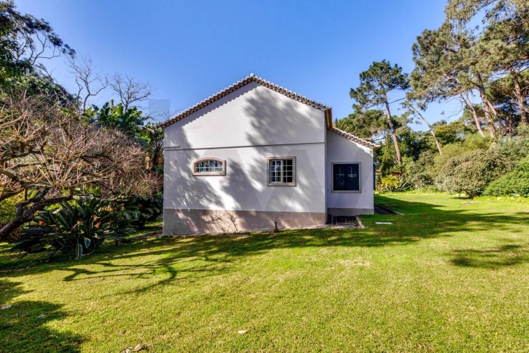 Quinta T10 para Venda em Cascais e Estoril Foto 32