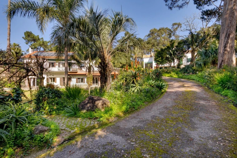 Quinta T10 para Venda em Cascais e Estoril Foto 39