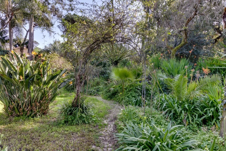 Quinta T10 para Venda em Cascais e Estoril Foto 86