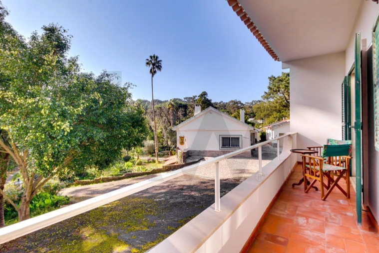 Quinta T10 para Venda em Cascais e Estoril Foto 7