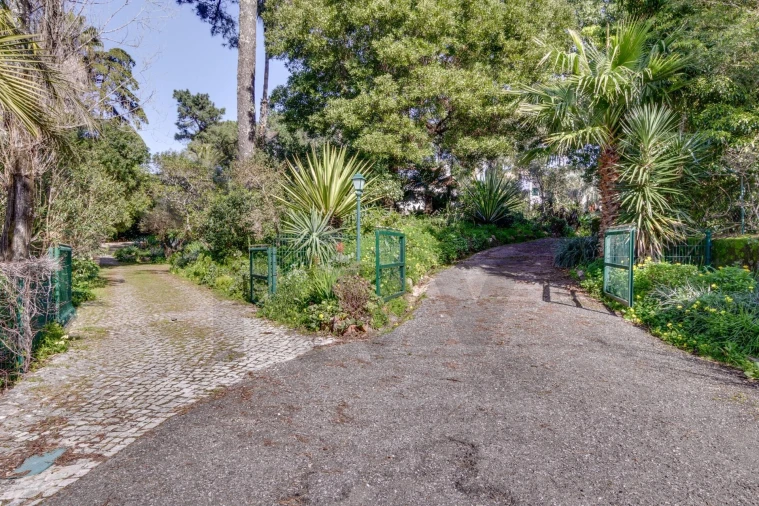 Quinta T10 para Venda em Cascais e Estoril Foto 38