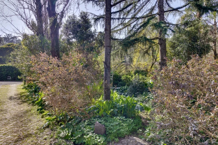 Quinta T10 para Venda em Cascais e Estoril Foto 85