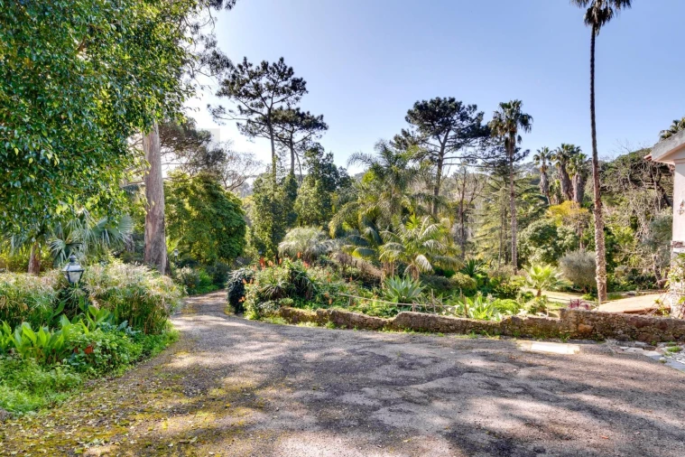 Quinta T10 para Venda em Cascais e Estoril Foto 87