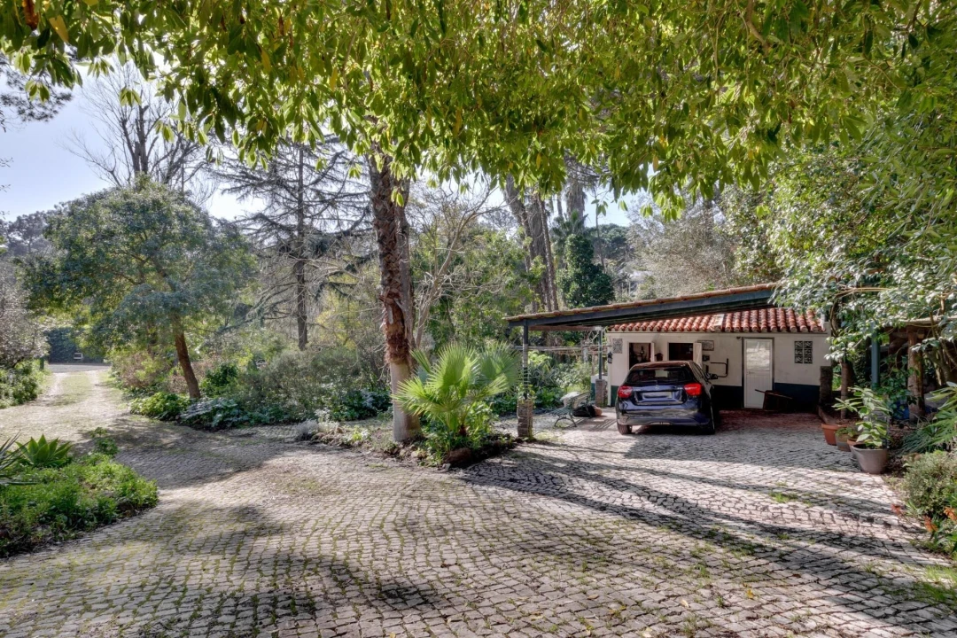 Quinta T10 para Venda em Cascais e Estoril Foto 63